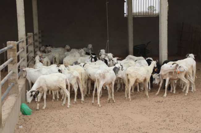 IMAGE 2024-06-14 13:24:58